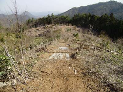 宮津植栽歩道