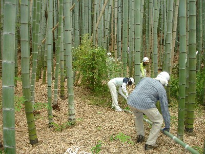 活動の様子