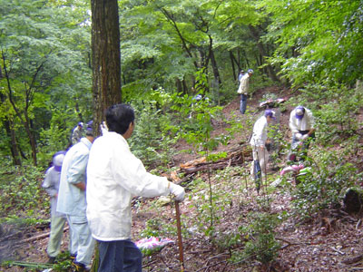 植樹活動の様子