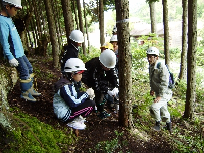 ノコを持つ手つきもなかなか