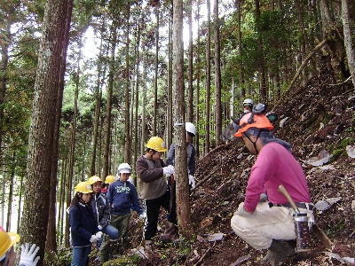林業研究グループの方の指導で間伐に挑戦