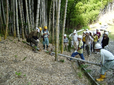 竹林作業１００４