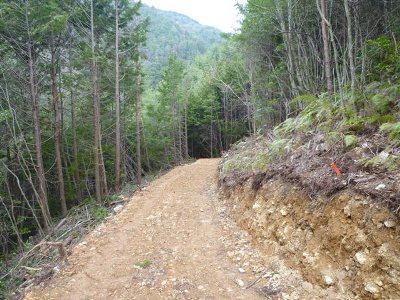 作業路の整備