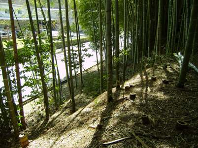 里山クラブ後