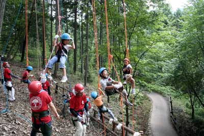 自分で登れるよ