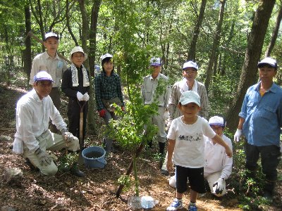 植樹の様子