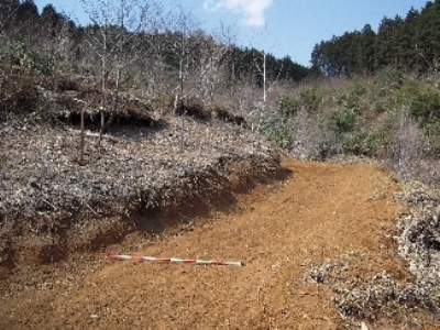 300ｍに及ぶ歩道整理