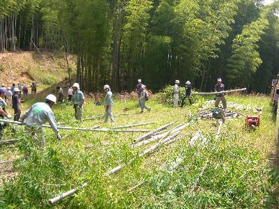 竹を切りわけて行事に利用