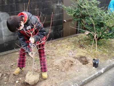 植樹の様子①