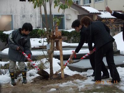 植樹の様子