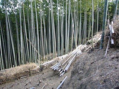 大山崎天王山