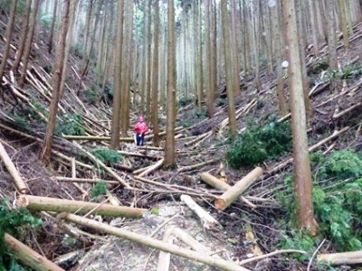 宇治市炭山