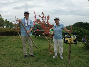 昨年植樹したヤマモミジと、森なかま作製の看板