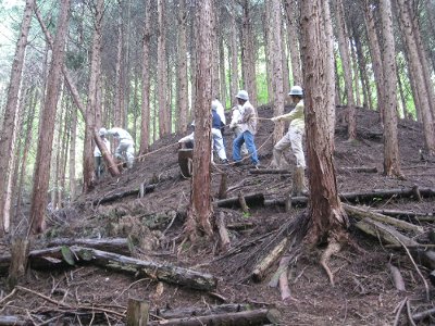 活動の様子