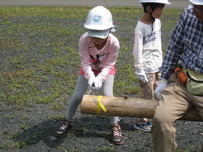 樹名板を作る子ども