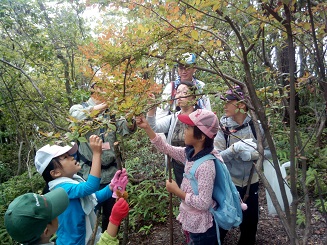 衣笠山①