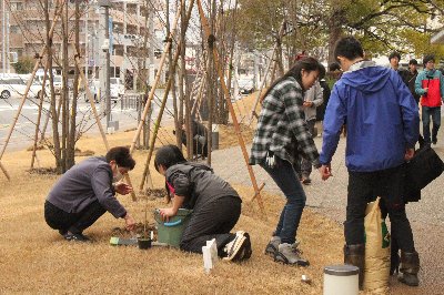 参加者による植樹