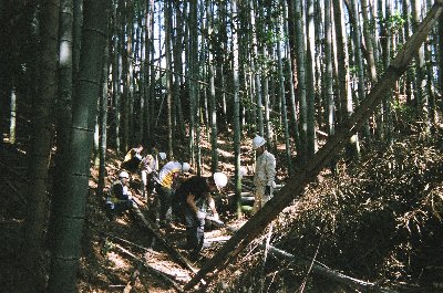 竹林整備チームも頑張っています