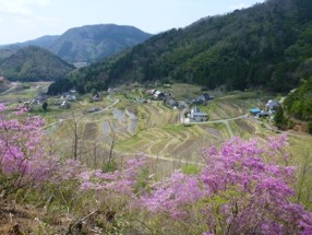 活動の様子