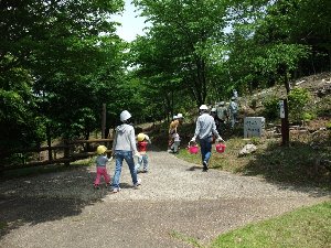 桜に肥料をやりに行きます