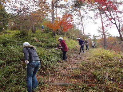 歩道周辺のササを刈ります