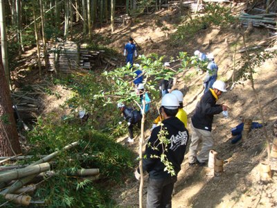 竹の伐採・整理