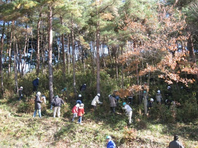 森林保全活動の様子