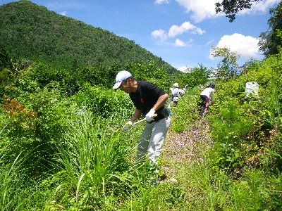 植樹したところの下草刈りをします