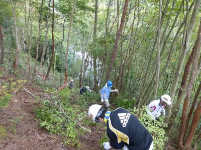 雑木林の除伐