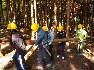 伐採したヒノキ材の運び出し。切り立ての材は重〜い！