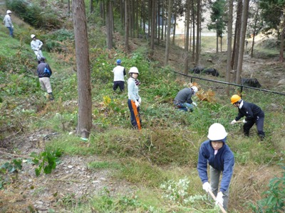 下刈り　「大きなカマにもなれてきました」