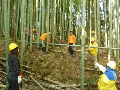 伐採作業の様子。荒廃竹林の整備は大変です！