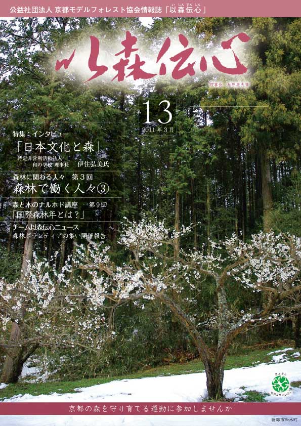 第13号（2011年3月）の表紙画像