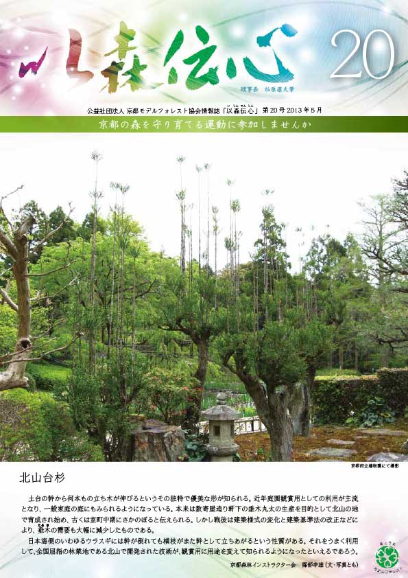 第20号（2013年5月）の表紙画像