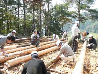 作業小屋に使用する間伐材の皮剥ぎの様子