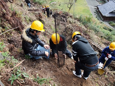 みんなで協力して植樹します