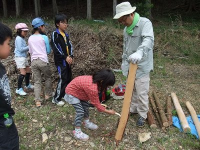 ヒノキの皮をめくります