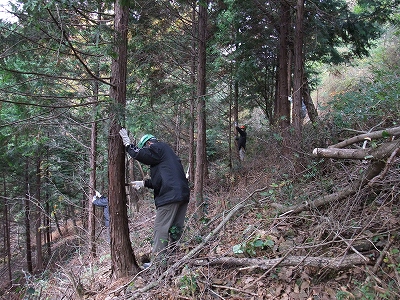 枝打ち体験