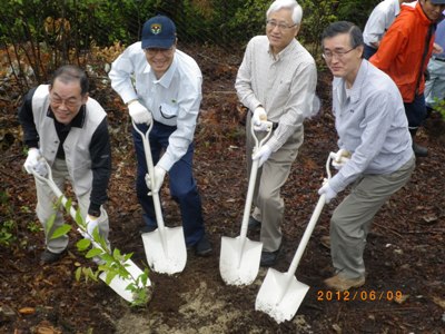 ヤマザクラの植樹