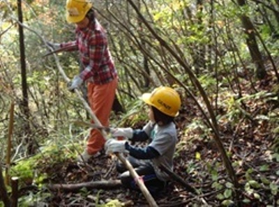 子ども達も木の伐採を手伝います。