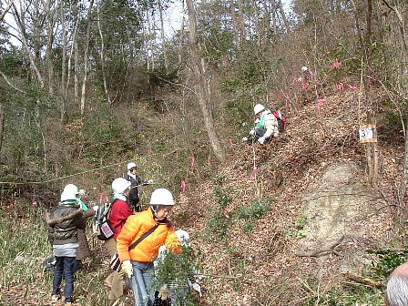 里山整備活動