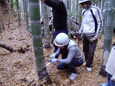 京大竹の環①