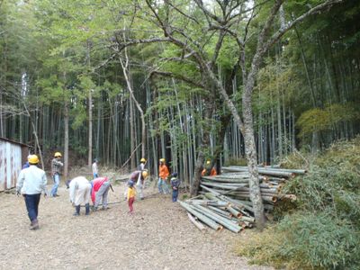 伐採竹が山積み。努力の成果！