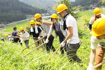 下草刈りに挑戦中の学生たち