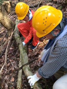 雑木山での作業の様子