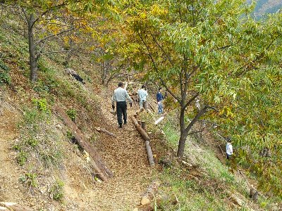 間伐材を使って遊歩道の整備を行っています