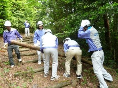 歩道を塞ぐ倒木を人海戦術で撤去！