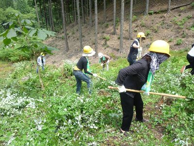 暑い中、作業をする参加者のみなさん