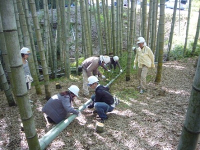 竹林整備の様子