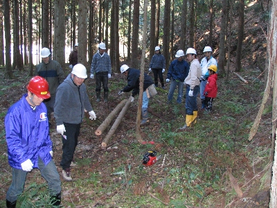 綾部での間伐体験